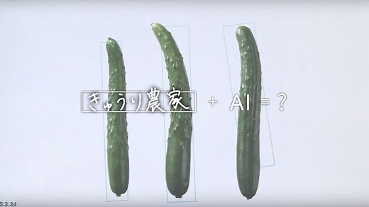 217K views · 1K reactions | 無料で学べるGoogle のオンライン講座「はじめての AI」。まずは基礎からはじめましょう。 | Google | Facebook