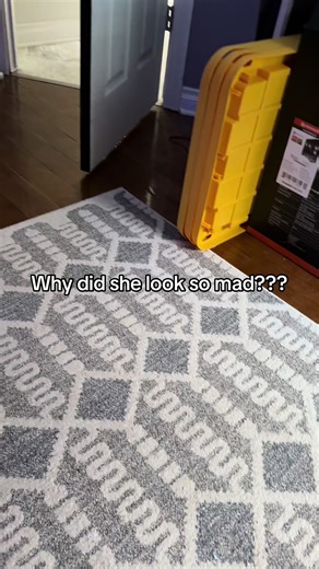 #ceilingfan #light #bluetoothlight #tiktokshopbacktoschool #TikTokShopCreatorPicks