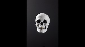 See a stunning, life-like reconstruction of a Stone Age woman