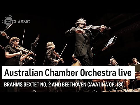 Australian Chamber Orchestra play Beethoven and Brahms live at the ABC