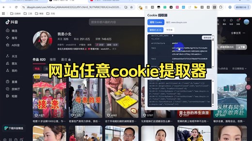 网站任意cookie提取器
