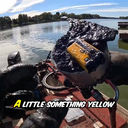 6.8K views · 111 reactions | What starts as a simple fishing trip turns into a series of surprising catches. From an old battery to a variety of fish species, including a surprising catfish, this angler never knows what they'll pull up next! A day of unexpected underwater treasures. #MagnetFishing #FishingAdventures #UnexpectedCatches #FreshwaterFishing #FishingFails #OutdoorFun #FishingLife | The Fisher | Facebook