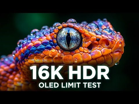 Test Your OLED TV's Limits: 12K HDR 120FPS Cinematic Benchmark