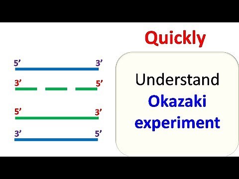 Okazaki experiment