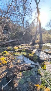 Plan a trip to this gorgeous state park this fall! Hike to Gorman Falls to see the beautiful waterfall - it's about 3 miles round trip and the end is very steep. We did this hike in 100 degree weather and I don't recommend it. Fall is a much better time to see the falls and explore Colorado Bend State Park - Texas Parks and Wildlife in general! #texasparksandwildlife #texasstateparks #TexasParks #texasfall #FallInTexas | Texas Wanderers