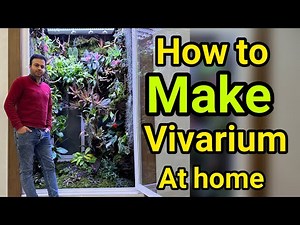 How to make 1/2*1/6*2/5 meter vivarium at home 🌳