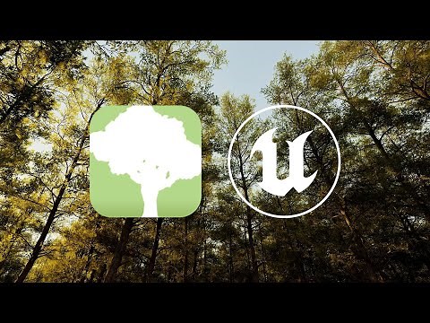 SpeedTree to Nanite foliage with Wind! Unreal Engine 5.7