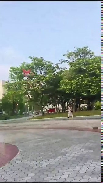 Flying Bionic Remote Control Bird Toy, 360 ° Roll & Cool Lights, Easy to Operate