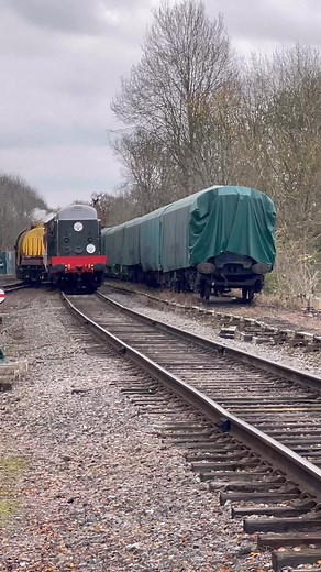 919 reactions · 16 shares | The characteristic sound of a class20 locomotive (D8001). Pulling the heritage oil tank train at the Great Central Railway. #trains #diesellocomotive #britishrailways #railway #railways #trainspotting #railroad #heritagerailway | Adrian Watson | Facebook