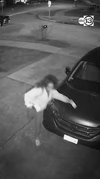 Man stops Spring ISD bus, points gun at driver and students: Pct. 4