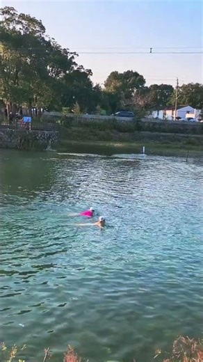 Unveiling Spring's Harmony: A Serendipitous Encounter