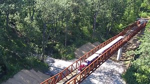 55K views · 670 reactions | Check out a special preview of the Scovill Zoo train expansion between Scovill Zoo and The Children's Museum of Illinois. The expansion is expected to be open to the public later this month! | NowDecatur.com | Facebook