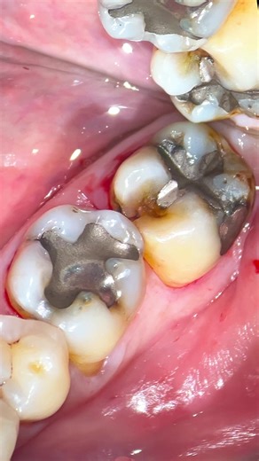 Dr. Hassan Aurag op TikTok