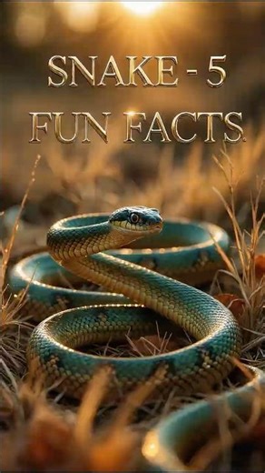 Snake – 5 Fun Facts You didn't know