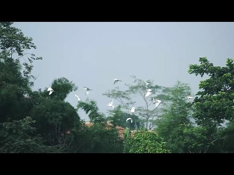 Summarecon Bandung : Nurture the Nature