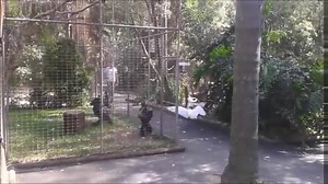 9.3K views · 234 reactions | 18+ News Channel on Reels | Facebook