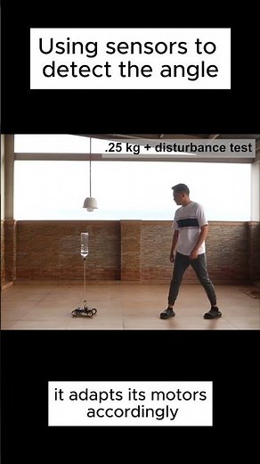 A DIY Inverted Pendulum Robot