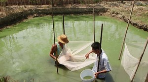 Fishing for a new economy