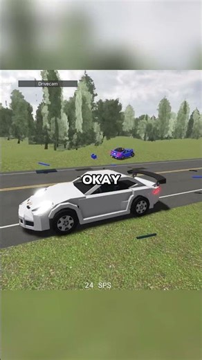 Car Crashes While Running a Red Light!