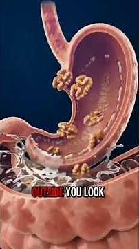 What Walnuts Do Inside Your Body 3D anatomy — Effects & Side Effects Explained in 60 Seconds 🤯