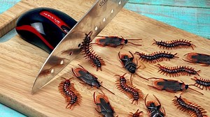 214K views · 4K reactions | Stop Motion Cooking - How to make...