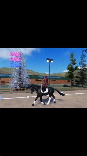 ^~Coal🖤~^ ~4000$~ ~165cm~ ~7yo~ ~Arabian~ ~Stallion~ ~Dressage~ ~Bit Spicy~ ~Not friendly with other horses sometimes friendly with geldings~ He chooses only a few people More for experienced riders! #viral #equestrian #horse #strideway #fyp