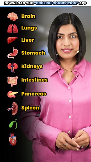 English Connection on Instagram: "Internal Organs of Human Body 易 Spoken English Vocabulary Download English Connection app from the Google Play Store. #spokenenglish #englishvocabulary #humanbodyorgans #humanbody #organs #englishconenction"