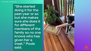 A dog trainer noticed that her own pet pooch uses a trick involving the daily newspaper to grab more treats. | Audacy