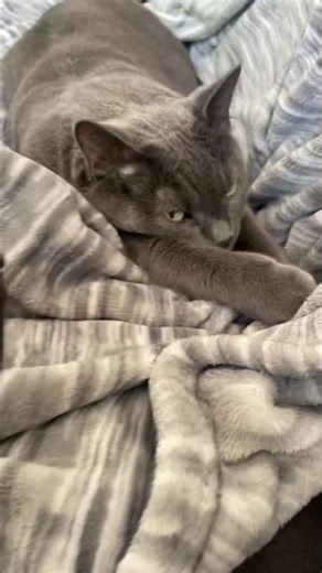 Soft kitty period pad