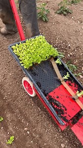 17K views · 27K reactions | The Tool That Changed How We Planted ...