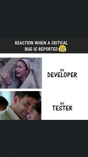 Dev vs. Tester: The Infinite Cycle 🔄