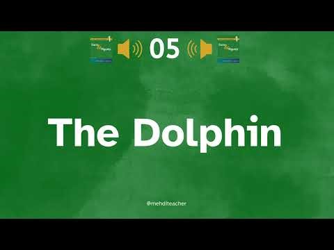 05-The Dolphin