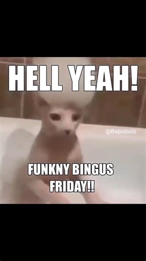 Bingus B. on Instagram: "I ALMOST FORGOT!!! Do you guys prefer this one or the swiping dancing bingus one?"