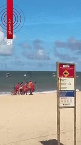Criança é mordida por tubarão na praia de Piedade, no Grande Recife