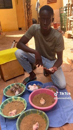 Elevage Expertise in Mali's Agriculture Sector