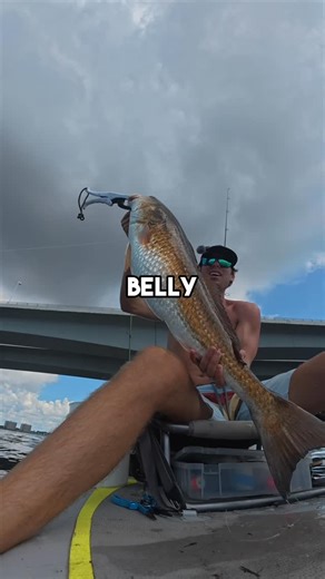 Catching_cyle on Instagram: "New Redfish PB! #fish #fyp #fishing #fishinglife #fishingvideo #fishing #fishingvideos #angler #fishingaddict video"