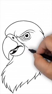 How to draw a parrot #howto #drawing #draw #sketch #parrots | Mr. Imaginative