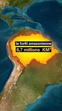 Quelles sont les plus grandes forêts du Monde #geography #history #saviezvousque #brésil