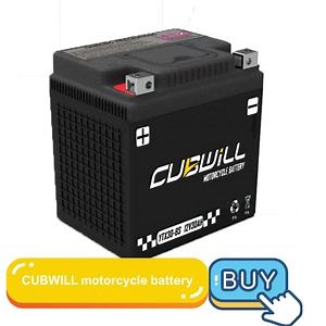 [Hot Item] Ytx30-BS Japan Quality Cubwill Motorcycle Gel Battery 12V 30ah Sealed Maintenance Free Motorcycle Battery