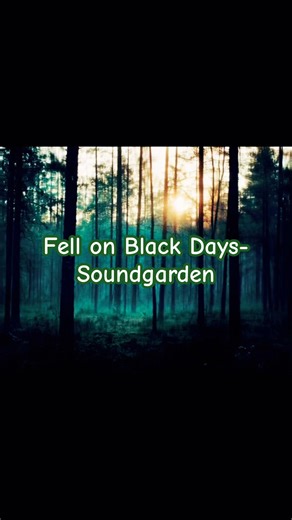Fell on Black Days-Soundgarden-Lyrics #music