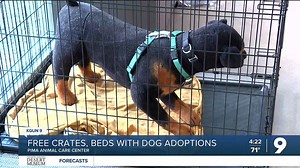 Get a free crate and bed when you adopt a large dog at PACC