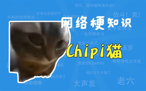 Chipi猫是什么梗？【网络梗知识】