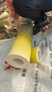 Motong bambu diatas karung #petani #bambu #rebung #bambooshoots #bambooharvest #asmrbamboo #rebung #bambupetuk #pengrajinbambu | Studio All