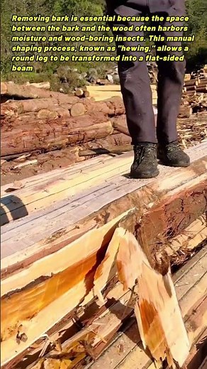 Removing Bark And Shaping Raw Logs