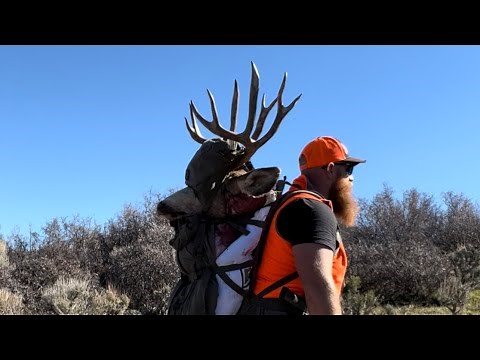 Colorado Mule Deer 2nd Season