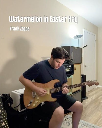 Watermelon in Easter Hay - Frank Zappa #frankzappa #guitarcover #guitarsolo #experimental #easter