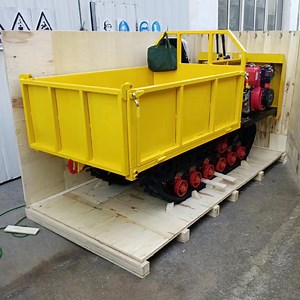 [Hot Item] Construction Crawler Equipment Heavy - Duty Crawler Carrier Crawler Vehicle Tracked Excavator Crawler Dumper for Reduced Emissions Hybrid Crawler Tracked Vehicl