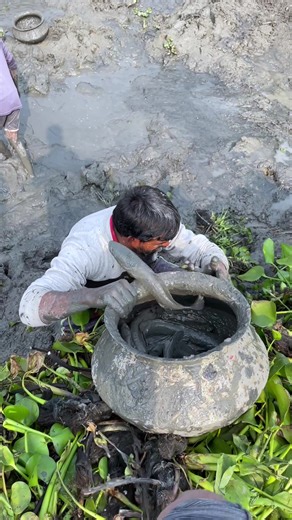 Amazing Big Fishing Video Showcase