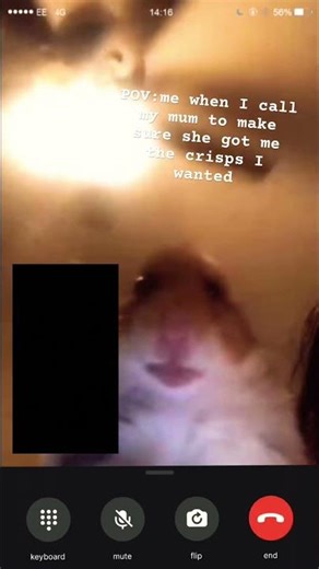 Hamster call meme 😂🤣