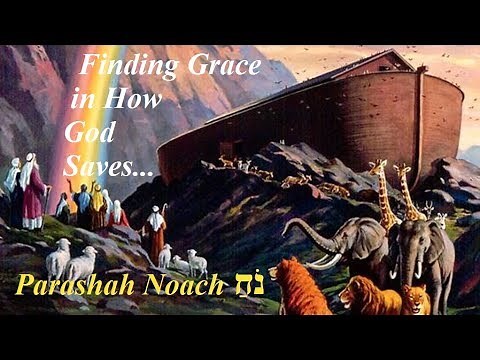 # 2 - Torah Parashah Noach